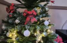 Maison de Vacances 8 à 15 pers à proximité du Canal du Midi - Foto 71