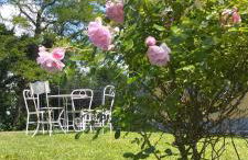 Pietra Corva - Monticello Apartments - Photo 9