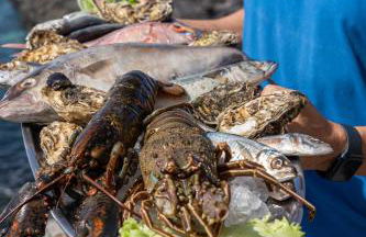 Casa OTERO - Foto 52