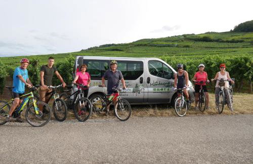 gite au coin du feu à 25mn de Colmar au calme avec jardin clos - Foto 25