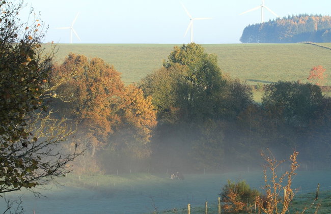 Ardennes Stay for 18 Guests - Photo 54