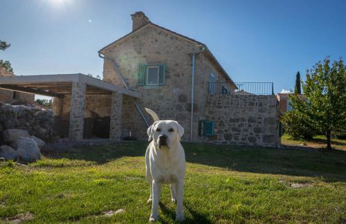 Vila na Kamenu - Foto 16