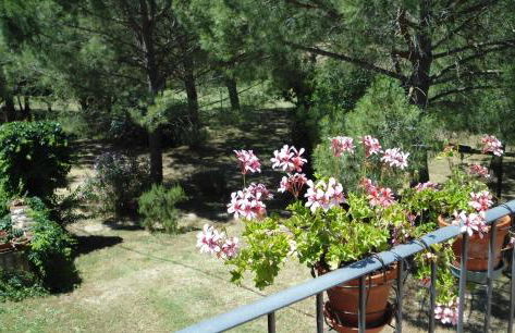 Casetta Francini - Foto 15