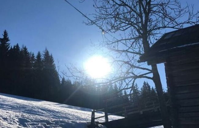 Apartment Bar Comfortable Holiday Residence - Photo 23