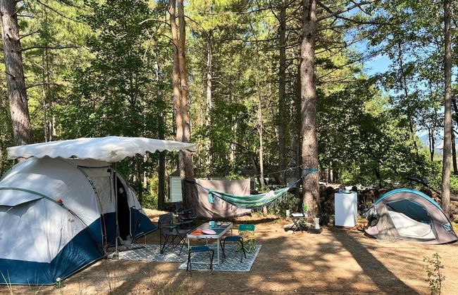 Domaine du Couriou - Foto 72