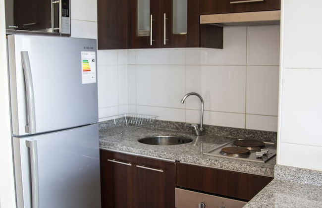 Santiago Furnished Apartments - Foto 15