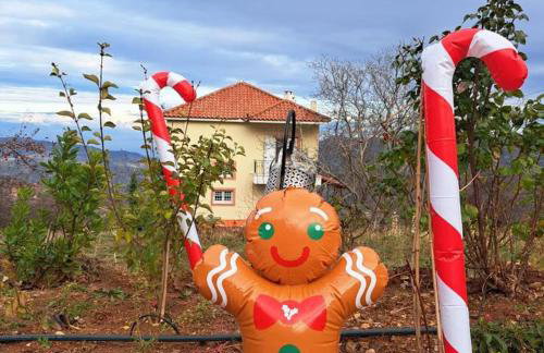 Ξενώνας Νικόλ - Photo 12