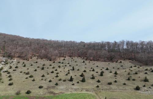 Ferienwohnung an der Altmühl - Apartment Albert - Foto 10
