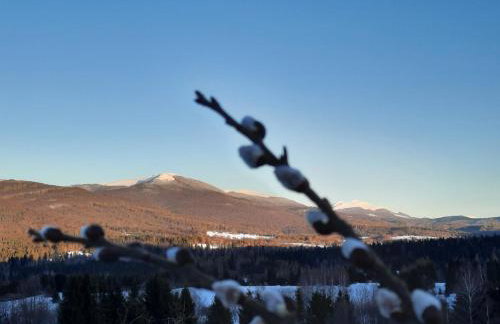 Domki i Apartamenty Rogate Anioły - Photo 49