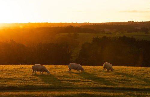 Ribble Valley by Wigwam Holidays - Foto 11