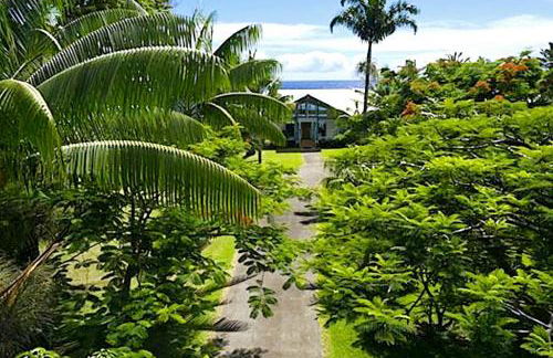 Grand Oceanfront Gated Estate on the Hamakua Coast - Foto 9