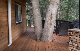 Midway Mountain Cabin Near Park City 7 bdrm 4ba - Foto 6