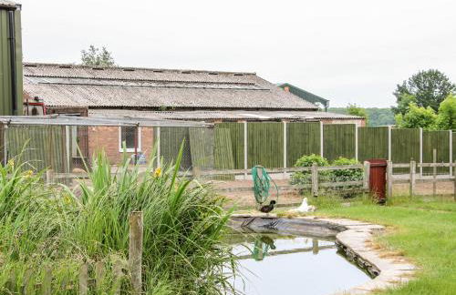 Springfield House - Photo 17