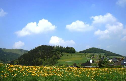 Ferienwohnung bei Willingen mit Terrasse - Photo 62