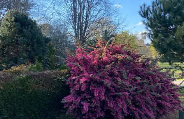 Quinta do Senhor - Foto 6