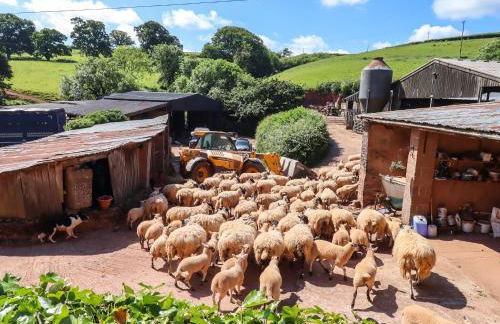 Twyford Farm Cottage - Foto 47