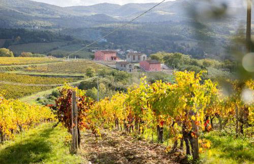 Castello Vicchiomaggio - Foto 16