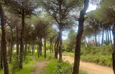 Casa familiar con piscina cerca del mar y montaña - Foto 44