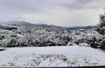 Country Home Giannaras - Photo 47