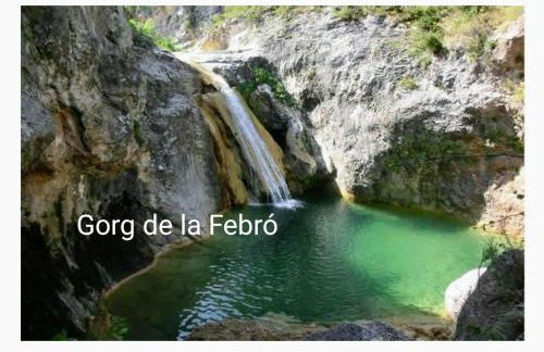 La terrasseta - Foto 48