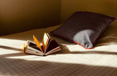 Grande maison de ville MALO LEONE 250m2 pour 15 personnes proche du Puy du Fou - Foto 13