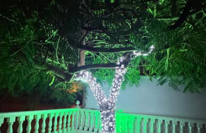 VILLA REX - Sun & Beach - Foto 6