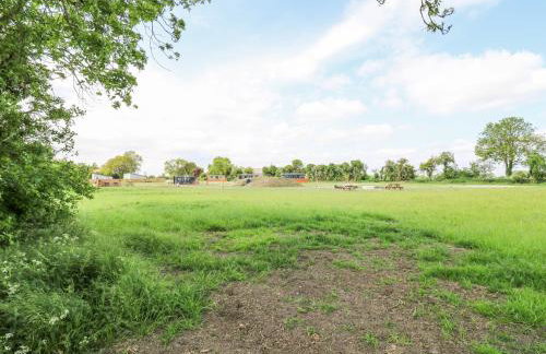 Woodpecker - Foto 29