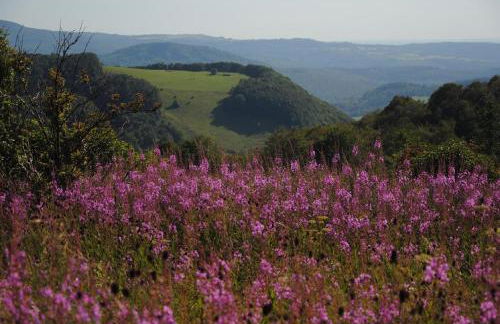 Ferienwohnung Ilke - Foto 20