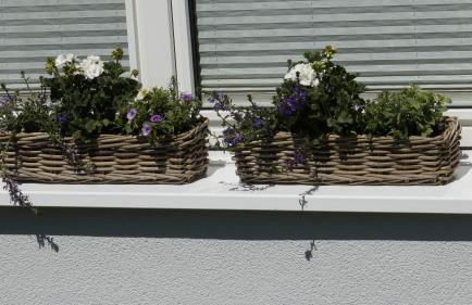 Ferienwohnung Wiesenblick nahe Region Celle und Hannover - Foto 14