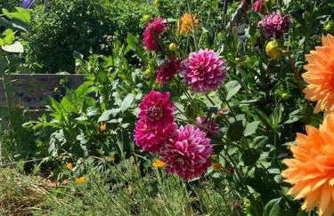 Amazing Santa Cruz Landscaped Paradise - Foto 16