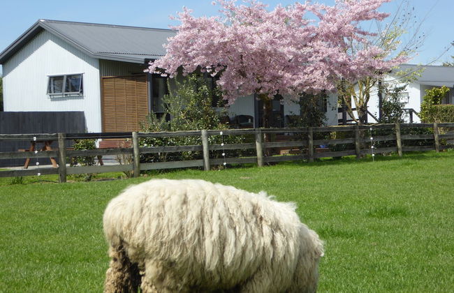 Cottages on St Andrews - Foto 55