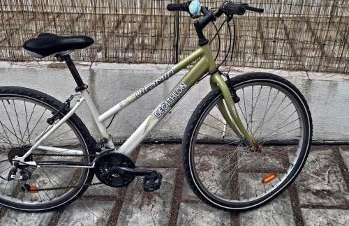 La Conchiglia - Foto 53