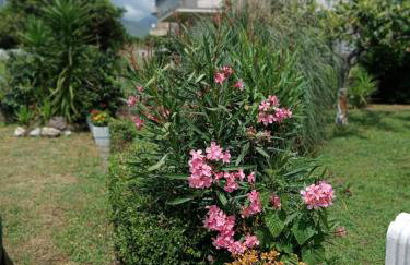 Casetta Esmeralda - Photo 8