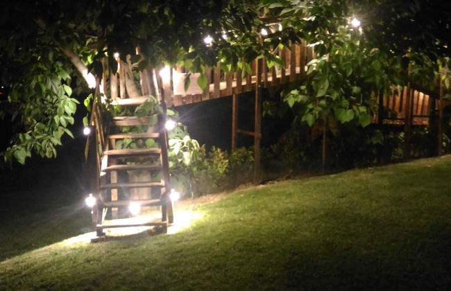 Agriturismo Ca' Vecia - Photo 59