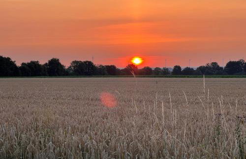 Wohnen auf dem Ponyhof - Photo 18