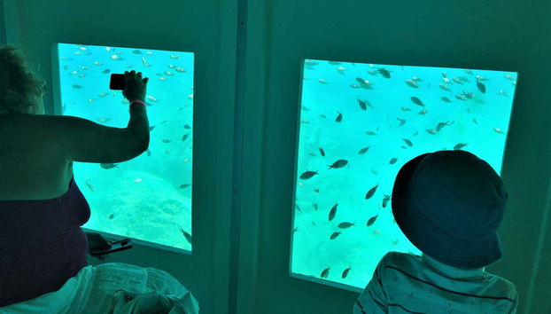 Passeio de barco com visão submarina - Foto 5