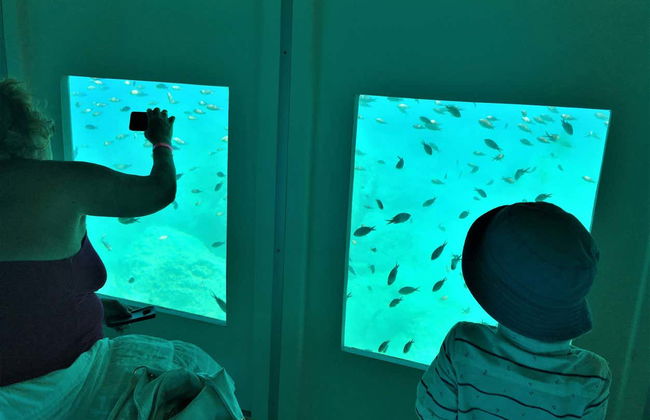 Glass Bottom Boat Cruise - Photo 5