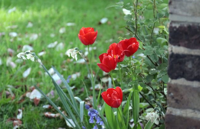 Flat1 Camden Road - Foto 16