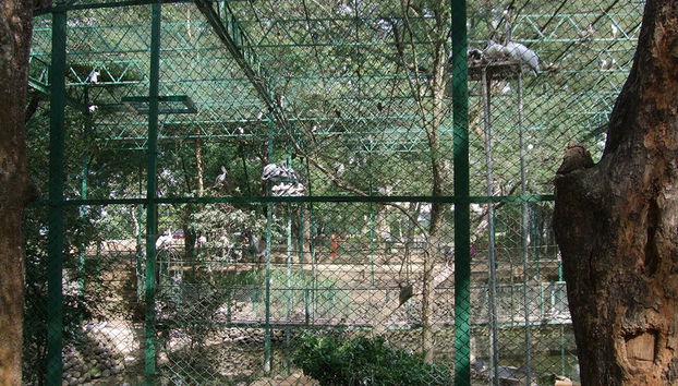 Parque Nacional Bannerghatta - Tour Privado - Foto 3