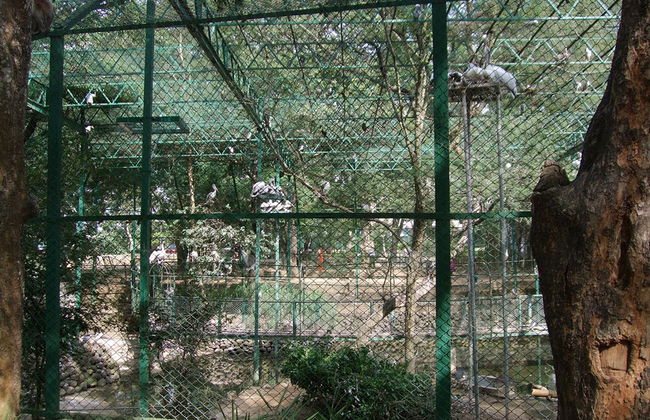 Parque Nacional Bannerghatta - Tour Privado - Foto 3