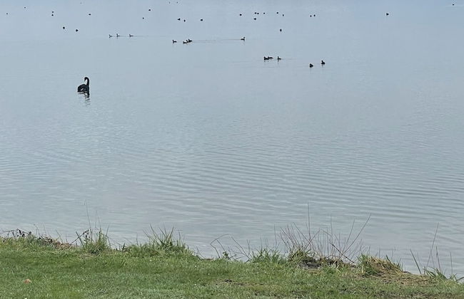 VacationStay on Lake Rd - Foto 21