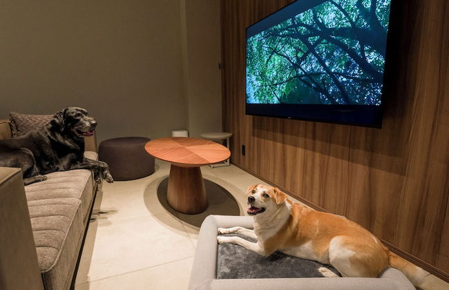 Rakuten STAY TERRACE Hakone Kowakudani - Foto 73