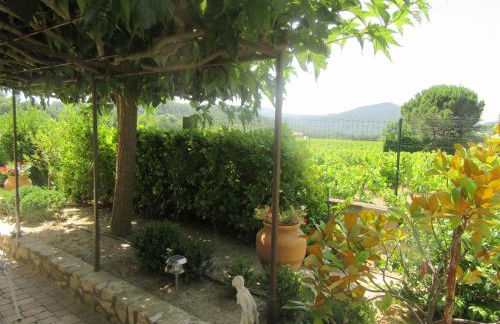 Le Grand Barsan - Photo 16