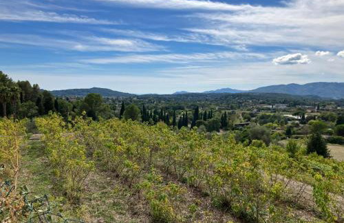 Mar y Tierra - Foto 12