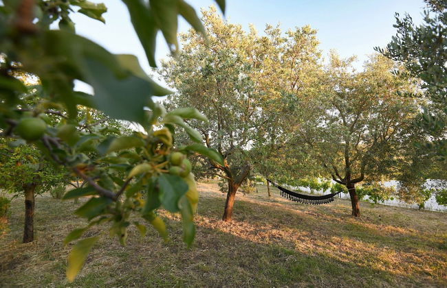 Villa Blackwood Zadarvillas - Foto 80