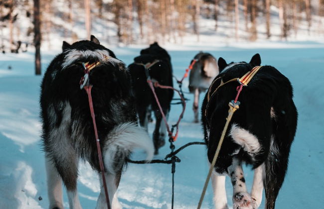 Highland Lodge Fjellandsby - Foto 1