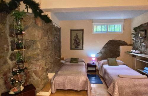 Naturaleza en el pantano de San Juan - Foto 19