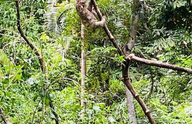 Vila Morena Altos de Itapororoca - Foto 80