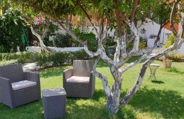 La Casita de Silvia - Photo 4