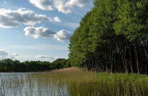 PRZYSTANEK DŁUŻEK - Photo 15